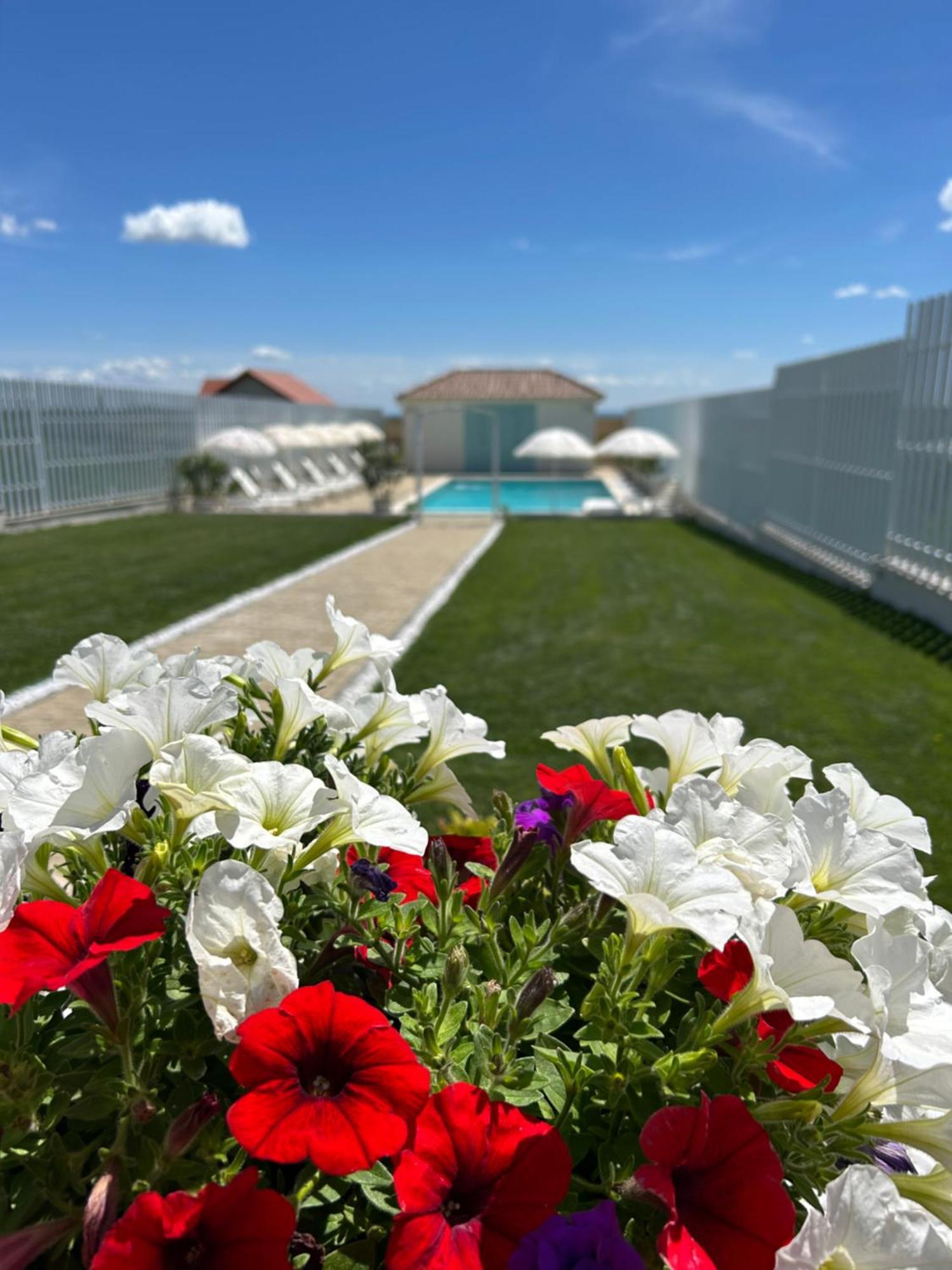 Alma Rezidence Bed & Breakfast Turda Dış mekan fotoğraf