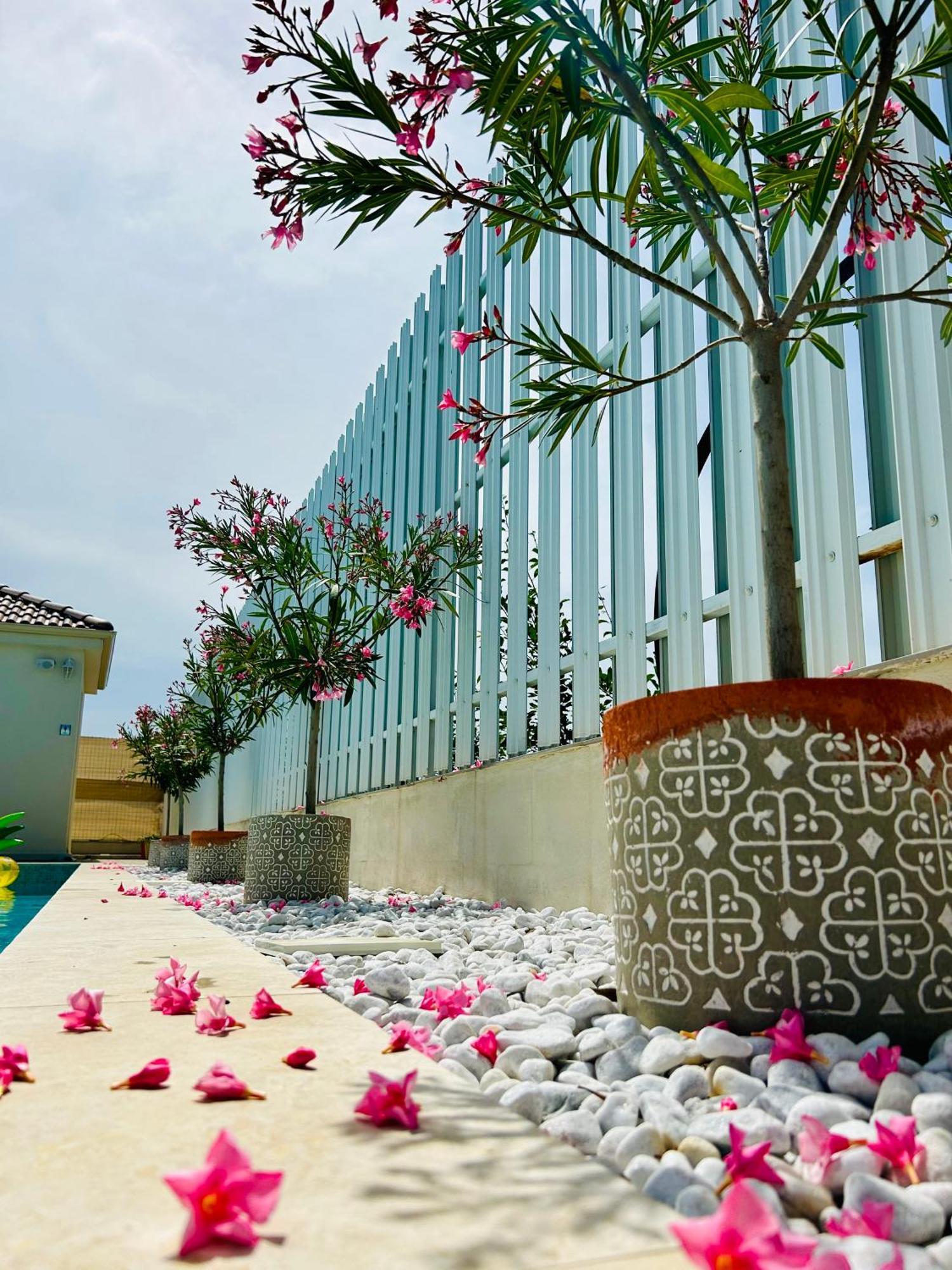 Alma Rezidence Bed & Breakfast Turda Dış mekan fotoğraf